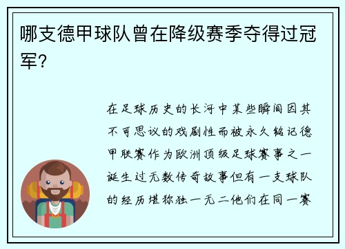 哪支德甲球队曾在降级赛季夺得过冠军？